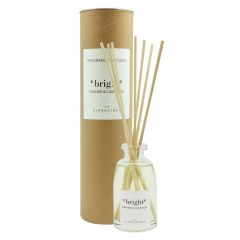 Диффузор ароматический The Olphactory, Bright, Orange&Cinnamon, 100 мл, Ambientair