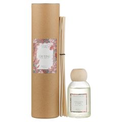 Диффузор ароматический Gifting, Корица и яблоко, 100 мл, Ambientair