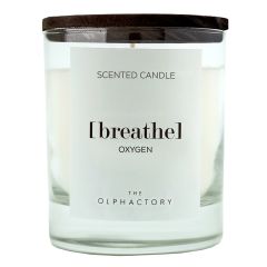 Свеча ароматическая The Olphactory, Breathe Black, Кислород, 40 ч, Ambientair