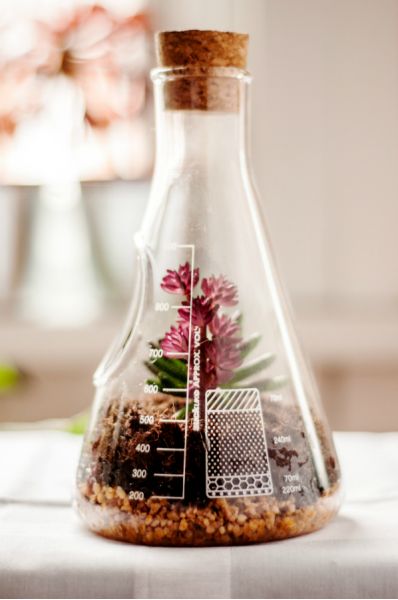 Террариум Chemistry, Suck UK, изображение 6