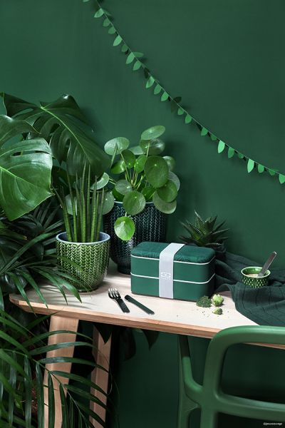 Ланч-бокс MB Original, jungle, Monbento, изображение 3