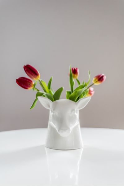 Органайзер для хранения, Suck UK, изображение 2