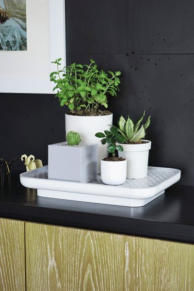 Лоток для полива растений Oasis Tray, белый, QUALY, изображение 4