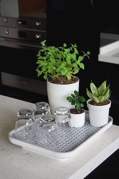 Лоток для полива растений Oasis Tray, белый, QUALY, изображение 3