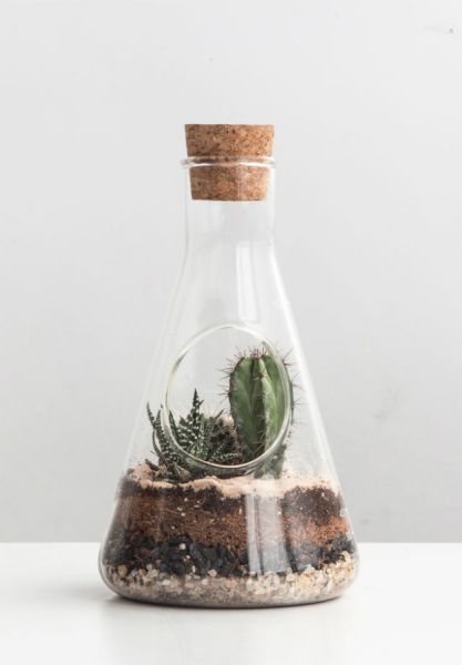 Террариум Chemistry, Suck UK, изображение 3