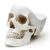 Органайзер для мелочей Skull, белый, Suck UK
