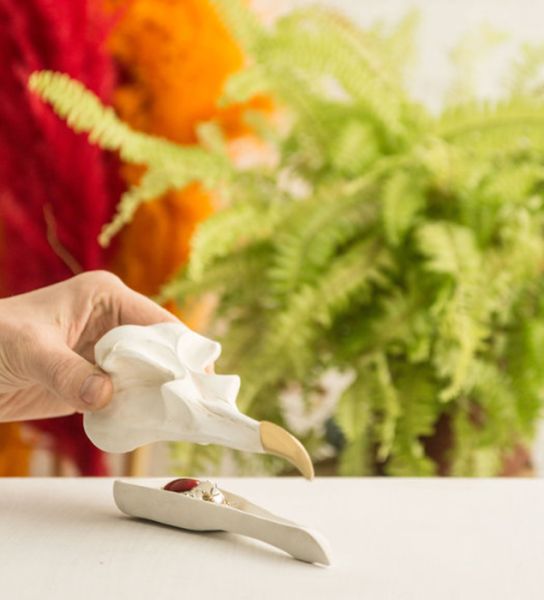 Шкатулка для украшений Bird Skull (белый), Suck UK, изображение 3