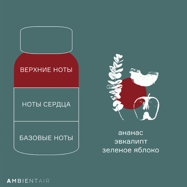 Диффузор ароматический Gifting, Корица и яблоко, 100 мл, Ambientair, изображение 5