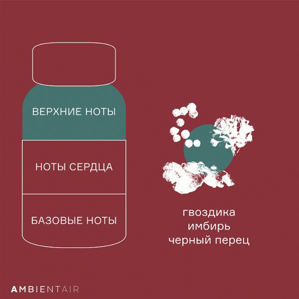 Диффузор ароматический Gifting, Имбирное печенье, 100 мл, Ambientair, изображение 5