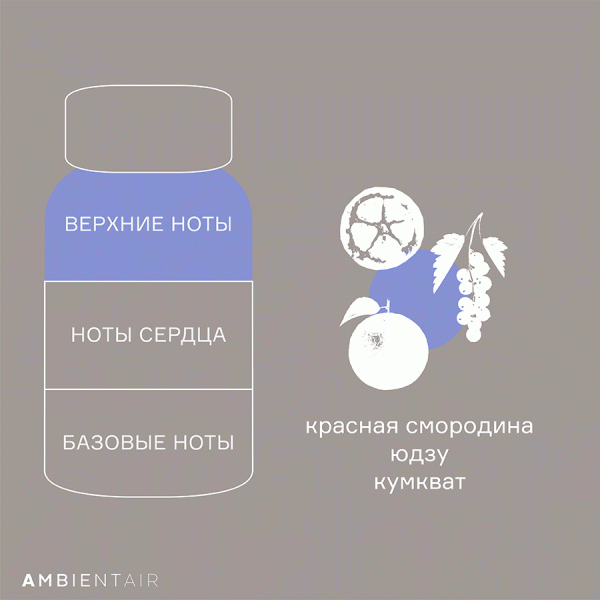 Диффузор ароматический Sublime, Цитрусовый цвет, 180 мл, Ambientair, изображение 6