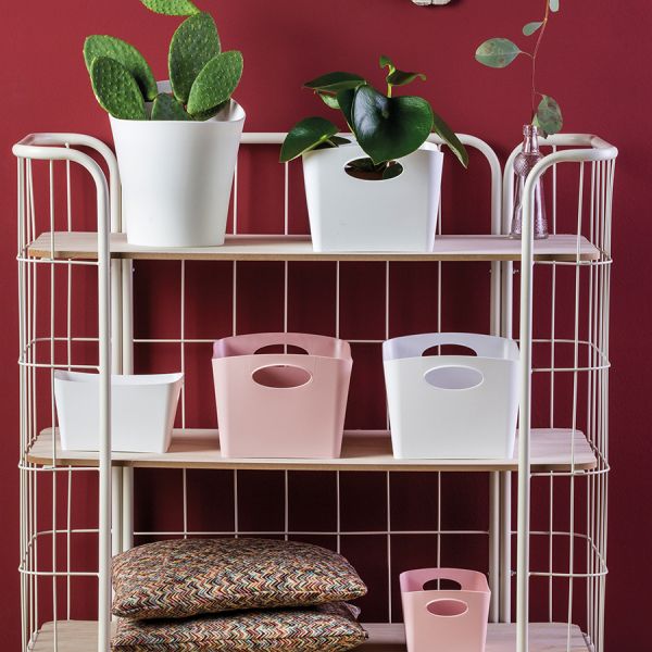 Контейнер для хранения Boxxx, Organic, 3,5 л, розовый, Koziol, изображение 3