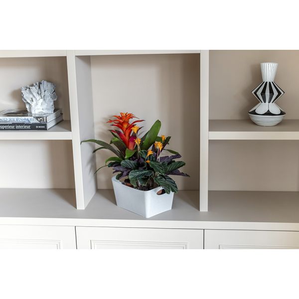 Контейнер для хранения Boxxx, Organic, 3,5 л, розовый, Koziol, изображение 2