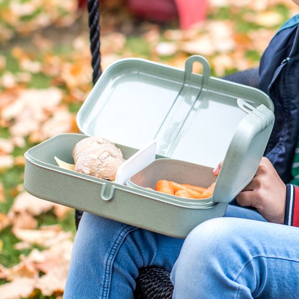 Ланч-бокс Pascal, Organic, 23,3х6,7х17 см, красный, Koziol, изображение 6