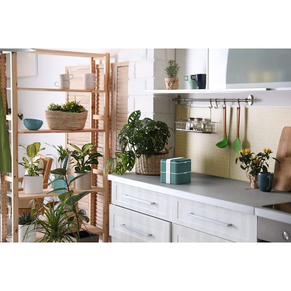 Ланч-бокс MB Square, jungle, Monbento, изображение 7