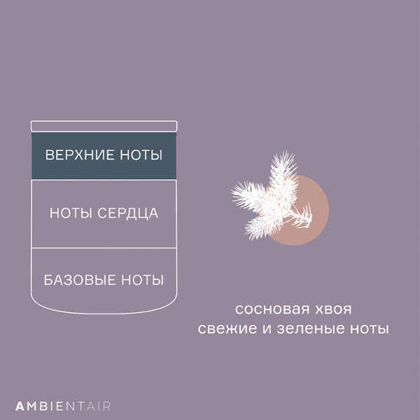 Свеча ароматическая Enchanted Forest, Белый жасмин, 40 ч, Ambientair, изображение 7