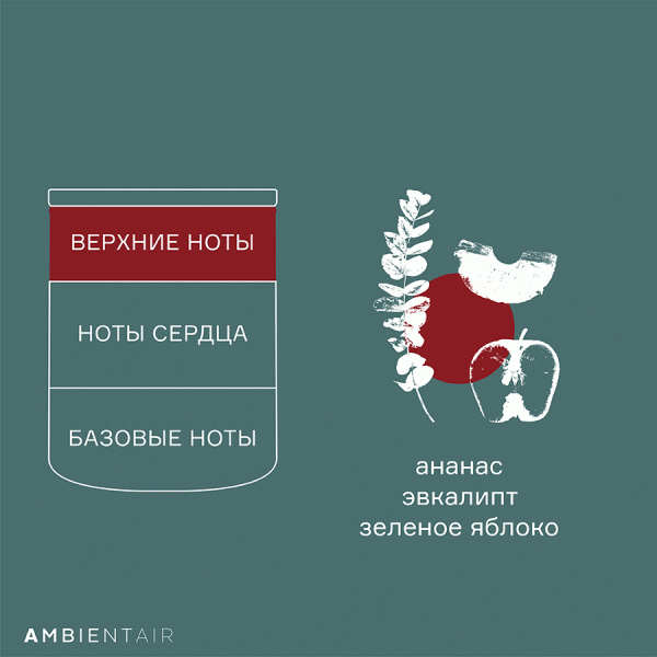 Свеча ароматическая Gifting, Корица и яблоко, 40 ч, Ambientair, изображение 5