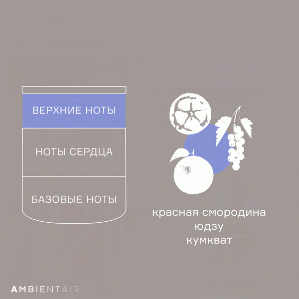 Свеча ароматическая Sublime, Цитрусовый цвет, 40 ч, Ambientair, изображение 3