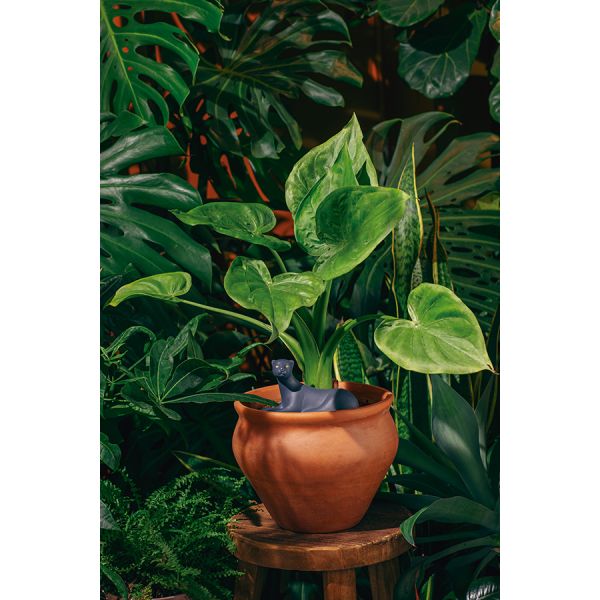 Фигурка с функцией полива для растений Jangal Panther, Doiy, изображение 2