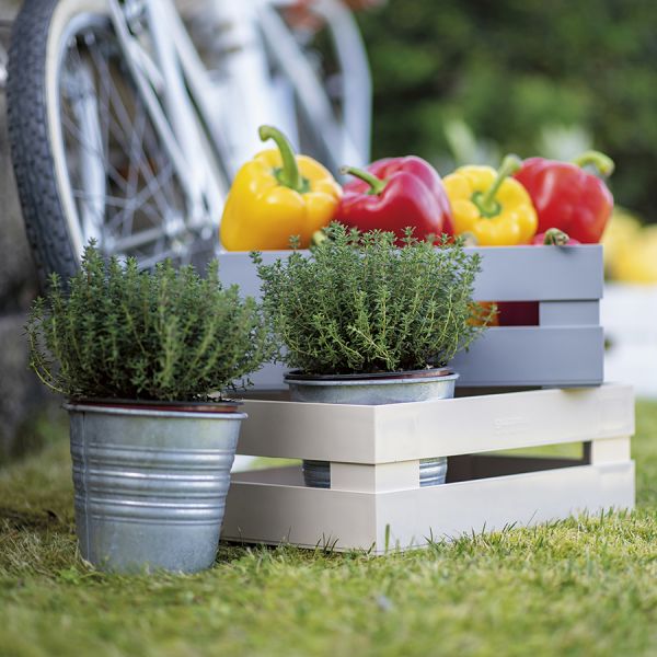 Ящик для хранения Tidy&Store 45 х 31 х 15 см кремовый, Guzzini, изображение 2