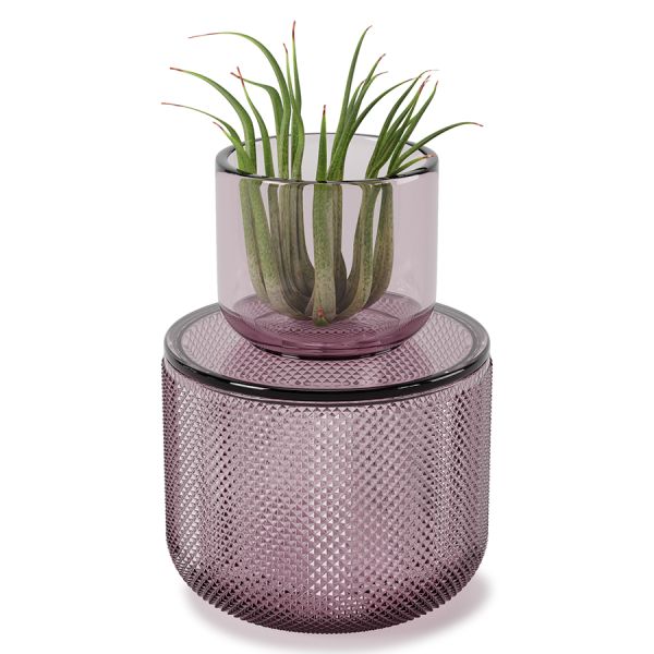 Шкатулка-органайзер Allira средняя сиреневая, Umbra, изображение 5