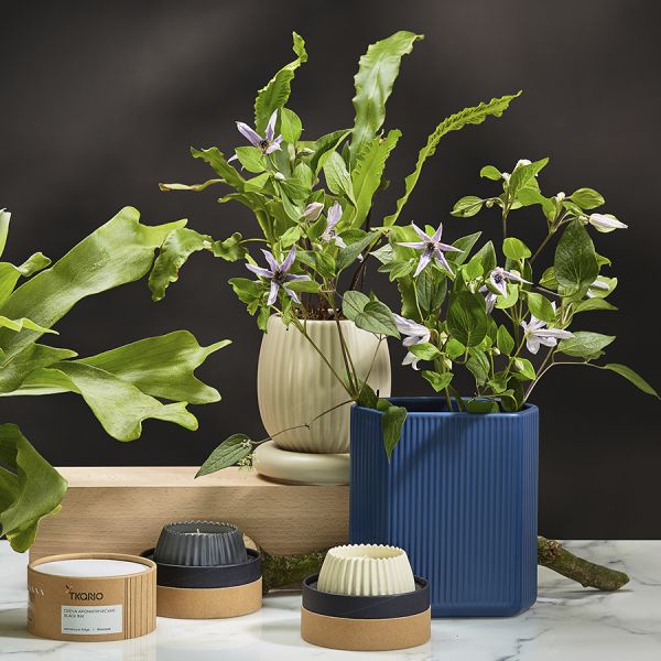 Свеча ароматическая Vetiver & Black cypress из коллекции Edge, серый, 30 ч, Tkano, изображение 4