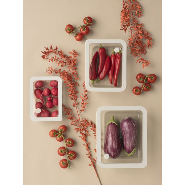 Контейнер для запекания и хранения стеклянный с вакуумным эффектом, 2,6 л, светло-серый, Smart Solutions, изображение 2