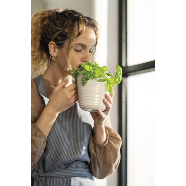 Кашпо для комнатных растений Tierra, бежевое, Guzzini, изображение 2