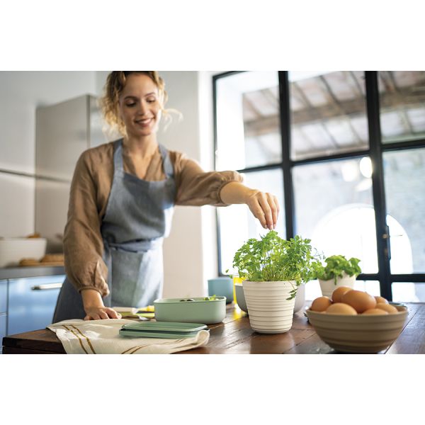 Кашпо для комнатных растений Tierra, бежевое, Guzzini, изображение 6