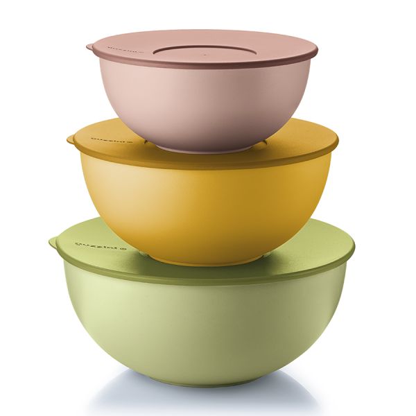 Набор контейнеров для хранения продуктов Everywhere Bio, 3 шт., Guzzini