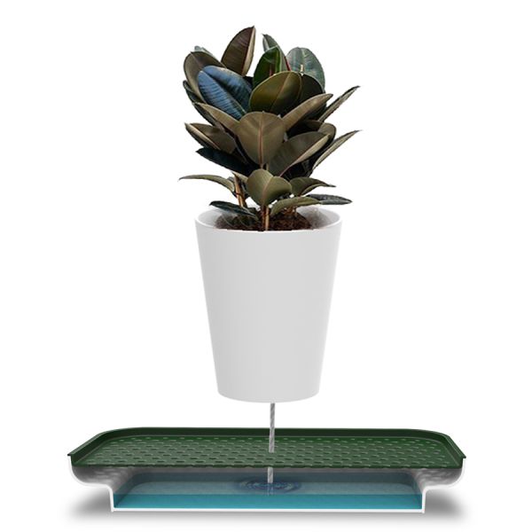 Лоток для полива растений Oasis Tray, белый, QUALY, изображение 9