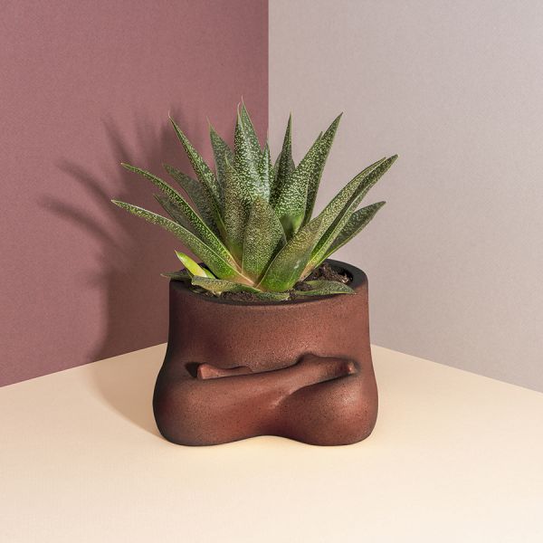 Горшок цветочный Namaste, DOIY, изображение 2