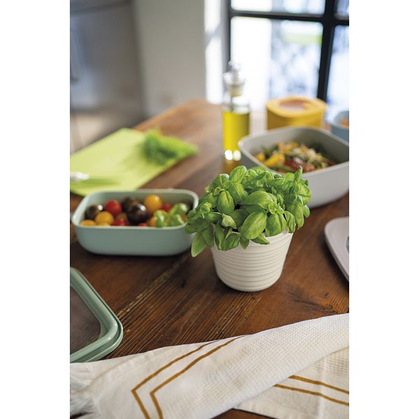 Кашпо для комнатных растений Tierra, бежевое, Guzzini, изображение 8