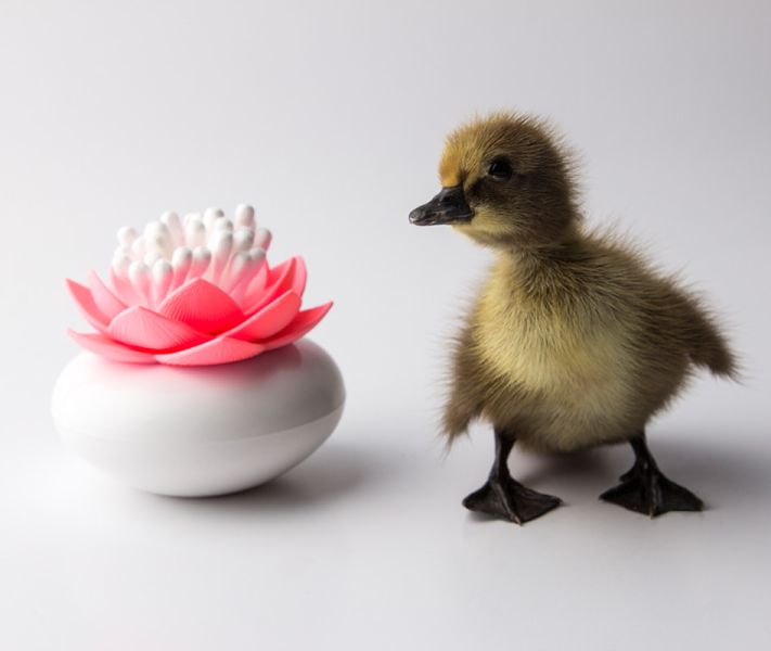 Контейнер для хранения ватных палочек Lotus белый-розовый, Qualy, изображение 4