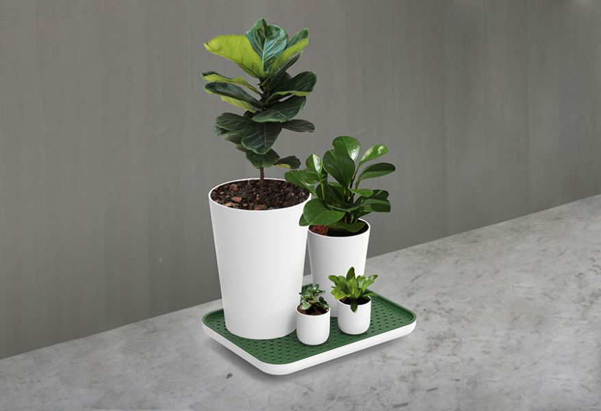 Лоток для полива растений Oasis Tray, белый, QUALY, изображение 7