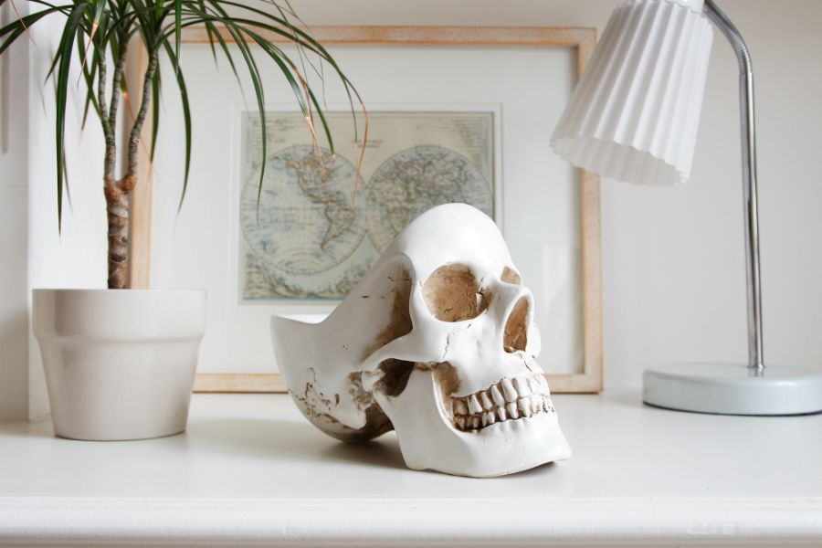 Органайзер для мелочей Skull, белый, Suck UK, изображение 12