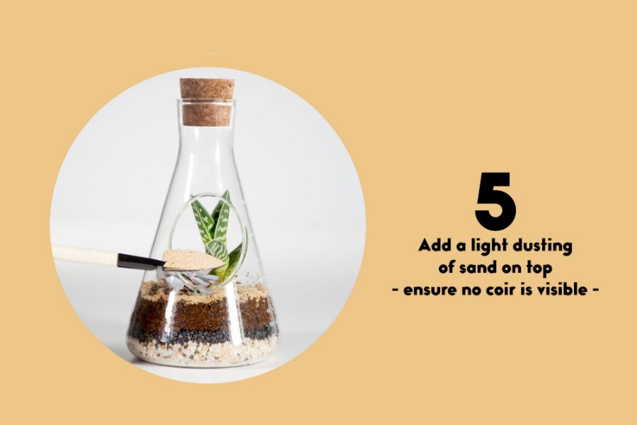 Террариум Chemistry, Suck UK, изображение 15