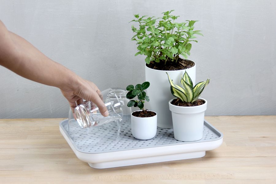 Лоток для полива растений Oasis Tray, белый, QUALY, изображение 5