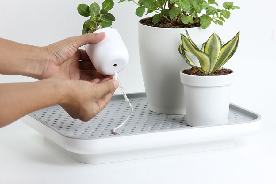 Лоток для полива растений Oasis Tray, белый, QUALY, изображение 6