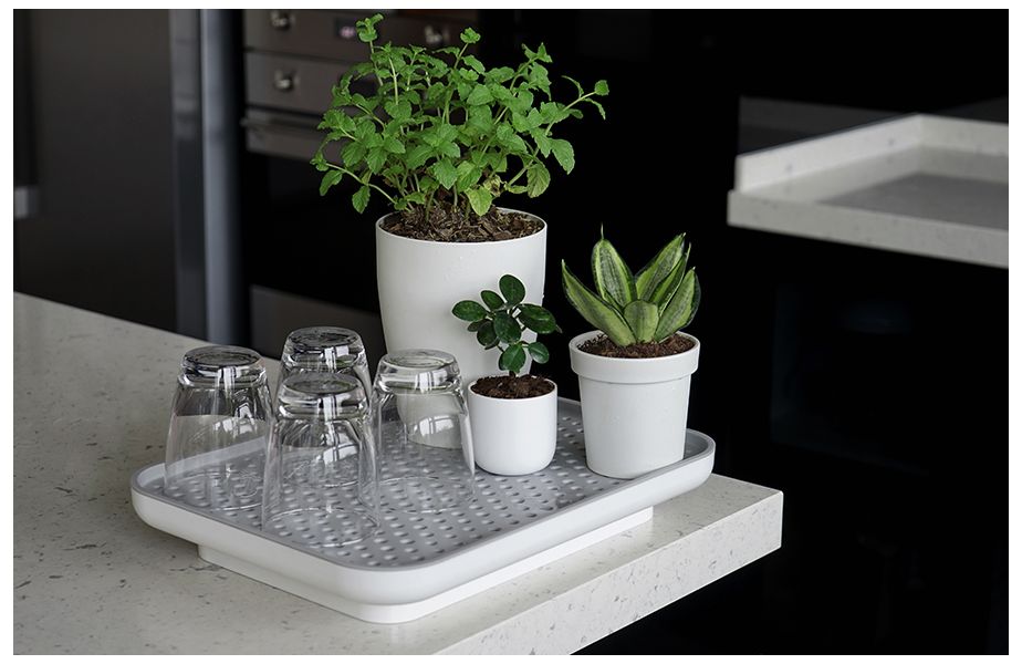 Лоток для полива растений Oasis Tray, белый, QUALY, изображение 2